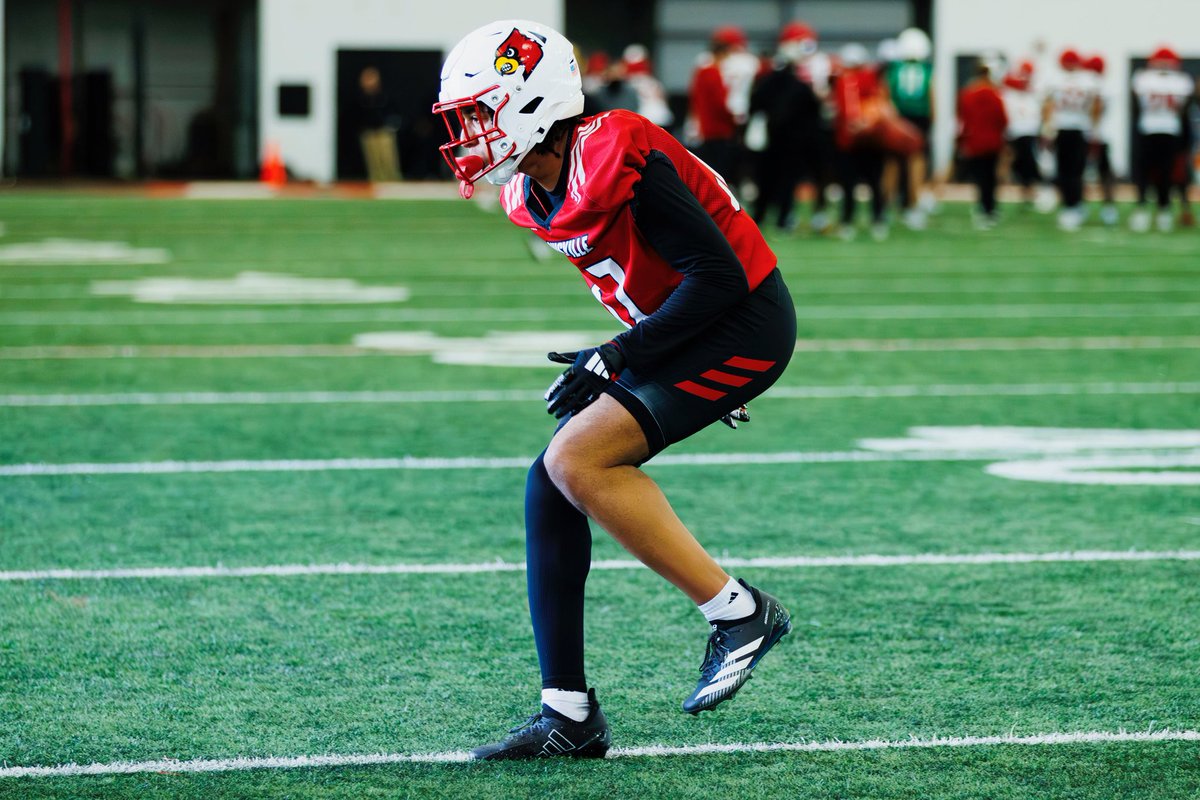 D. Mitchell tweet media