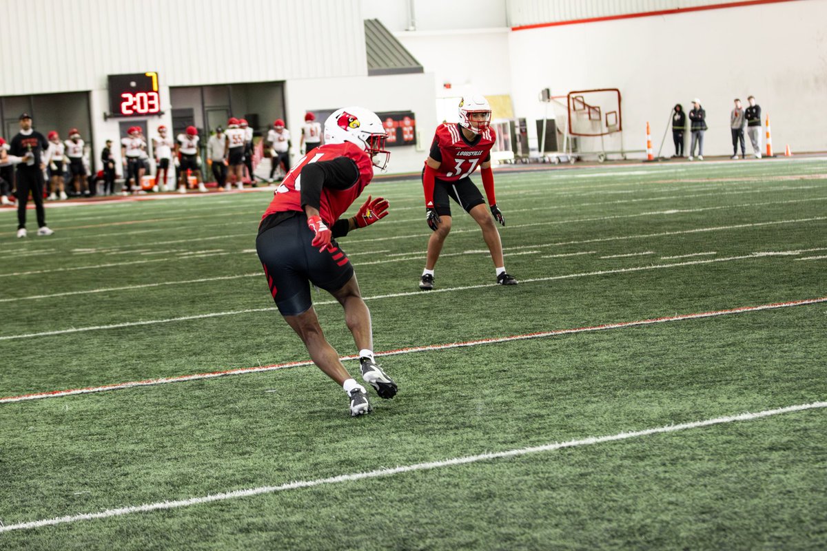 D. Mitchell tweet media