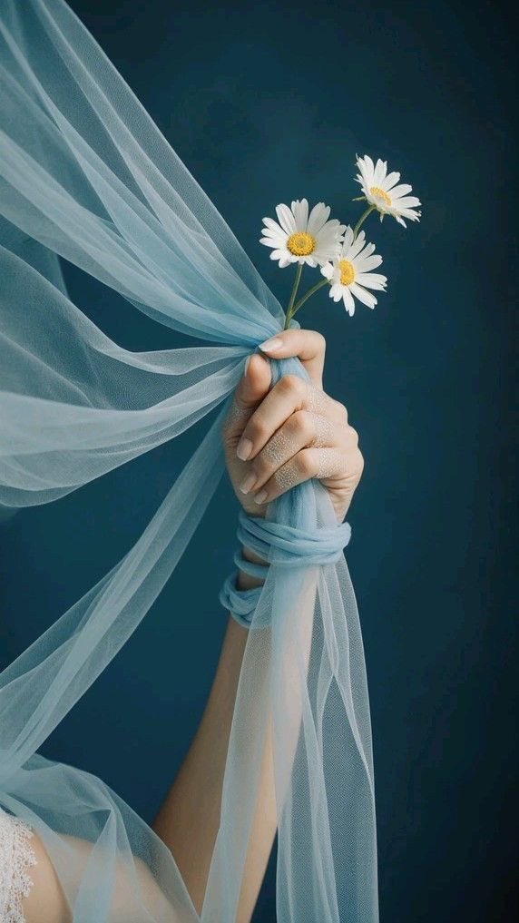 Ahmed elsayed tweet media