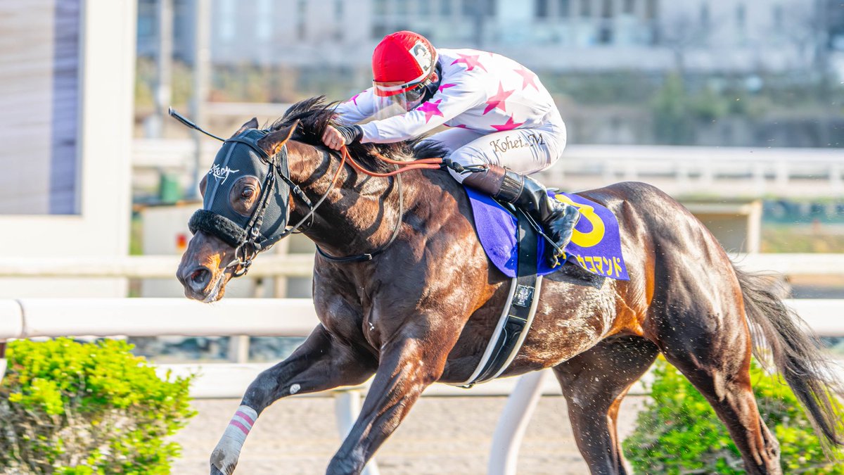 唐揚げの龍太 tweet media