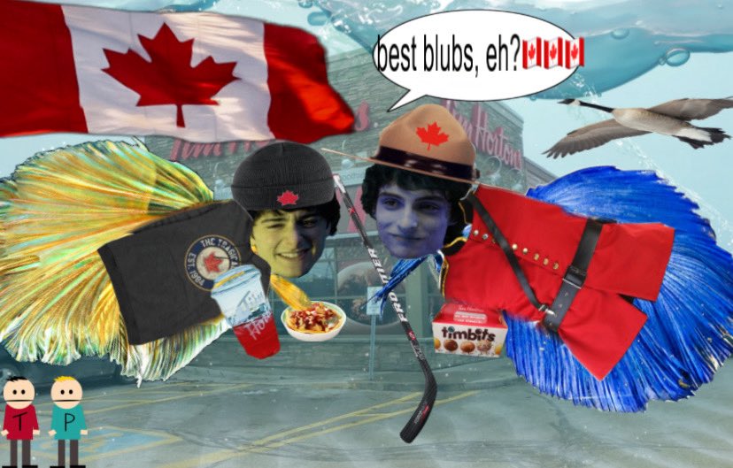 muddy🐠⋆.˚ | bubbler ceo 🫧 tweet media