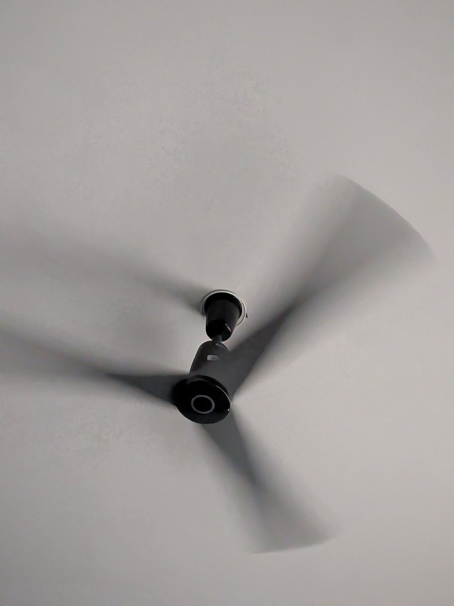 Mangolini Parrocini tweet media