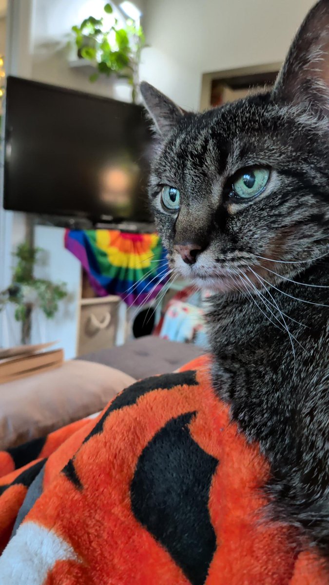 Leah but ¯\_(ツ)_/¯🌈🎃 tweet media