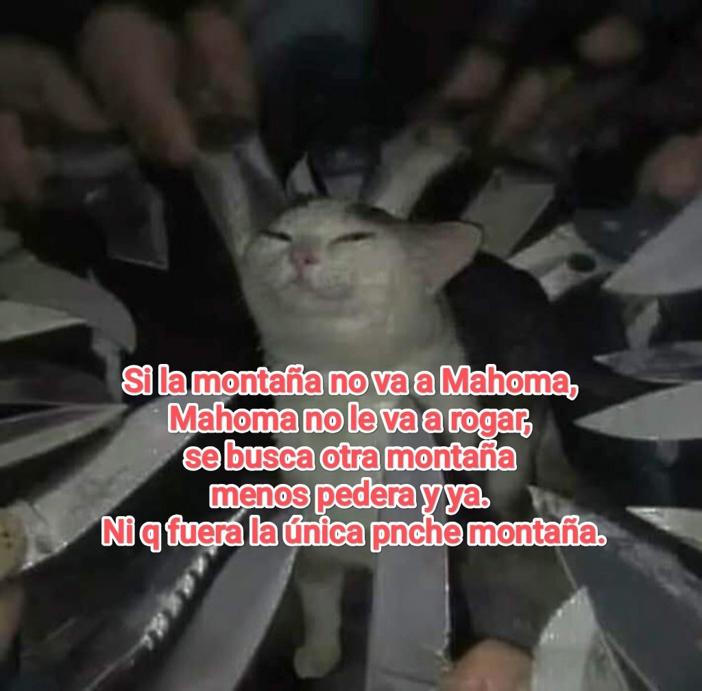 Cap Briagowsky tweet media