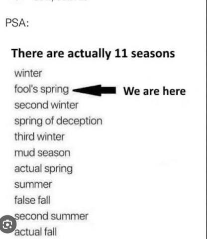 🍁✨Jane✨🇨🇦 tweet media