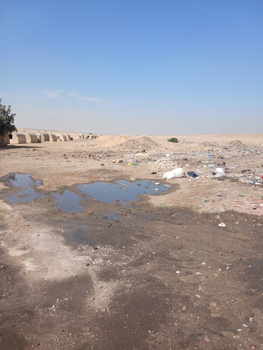 Amina Tharwat Abaza tweet media