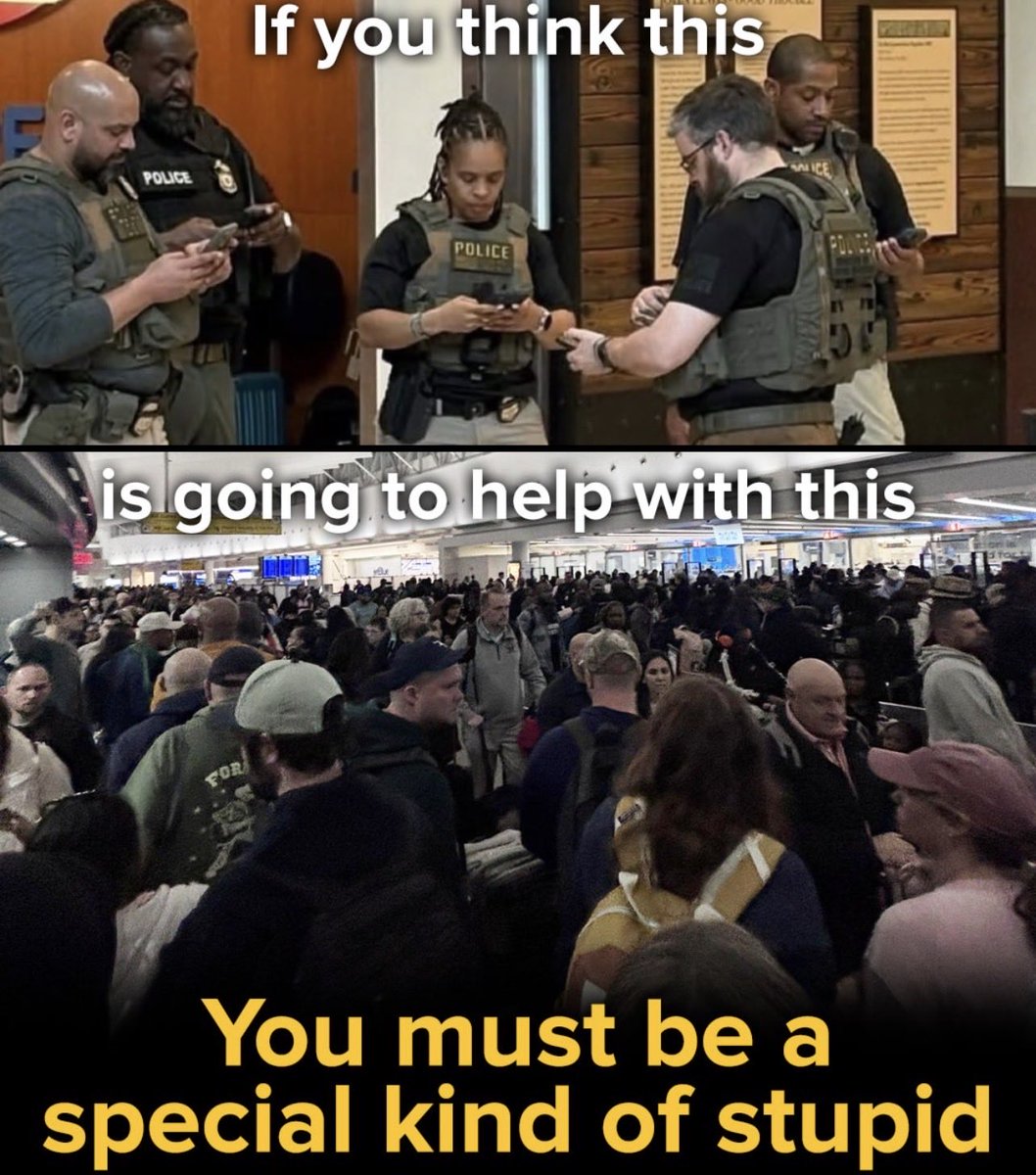 Joseph Kam tweet media