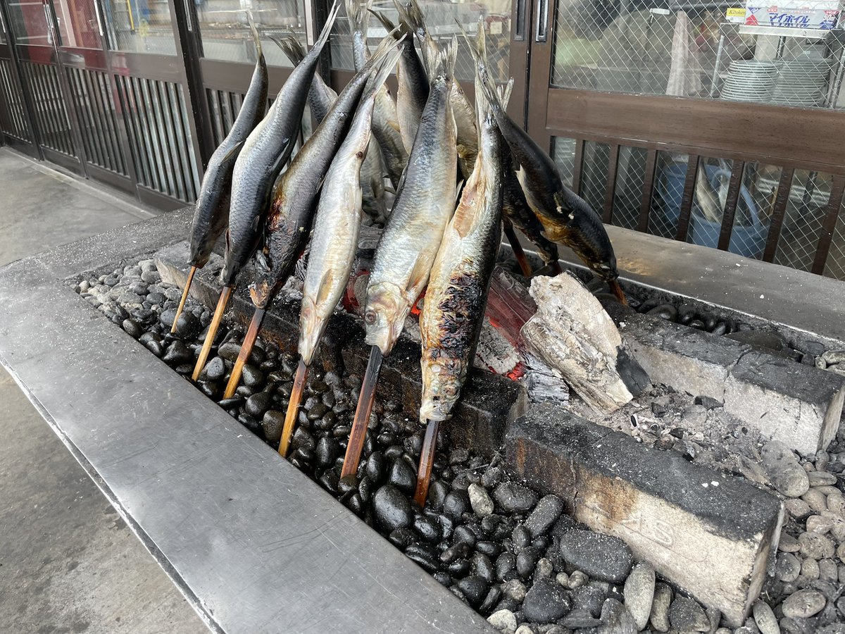 三遊亭志う歌 tweet media