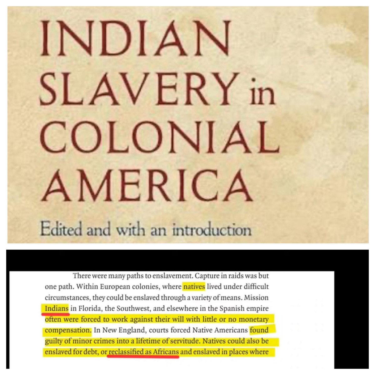 amerikannn 🇺🇸 🪶 tweet media