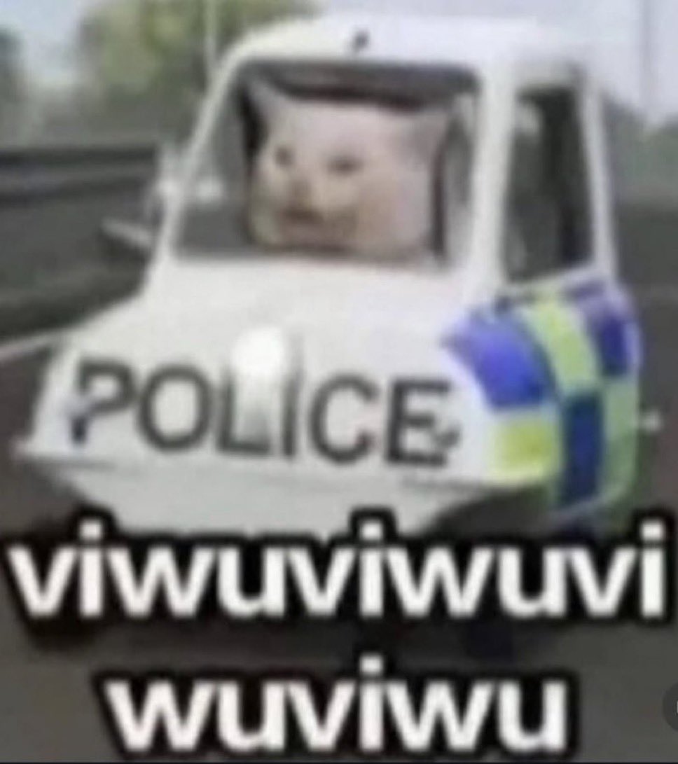 tasha de los backyardigans tweet media