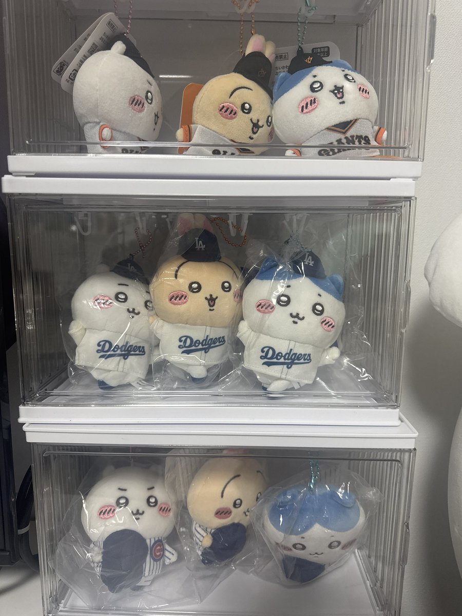 Real Recognize Real tweet media