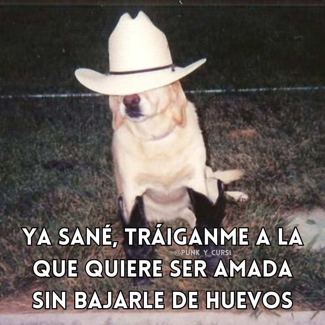 punk_y_cursi's tweet photo. Mi mero mole. https://t.co/q96yL3KavK