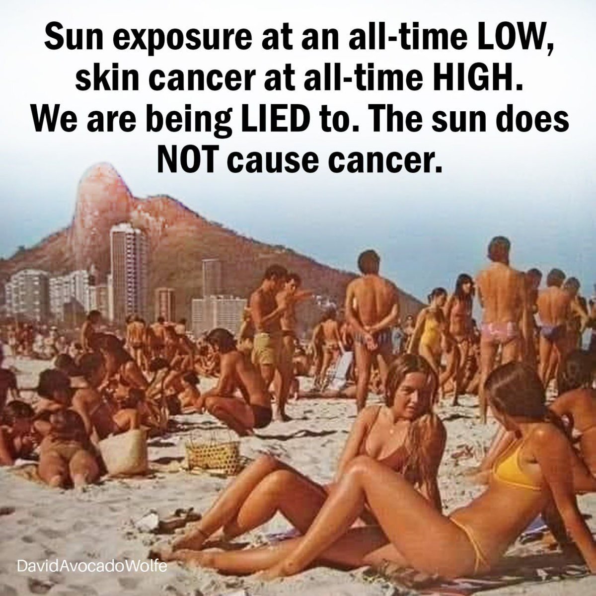 David Wolfe tweet media