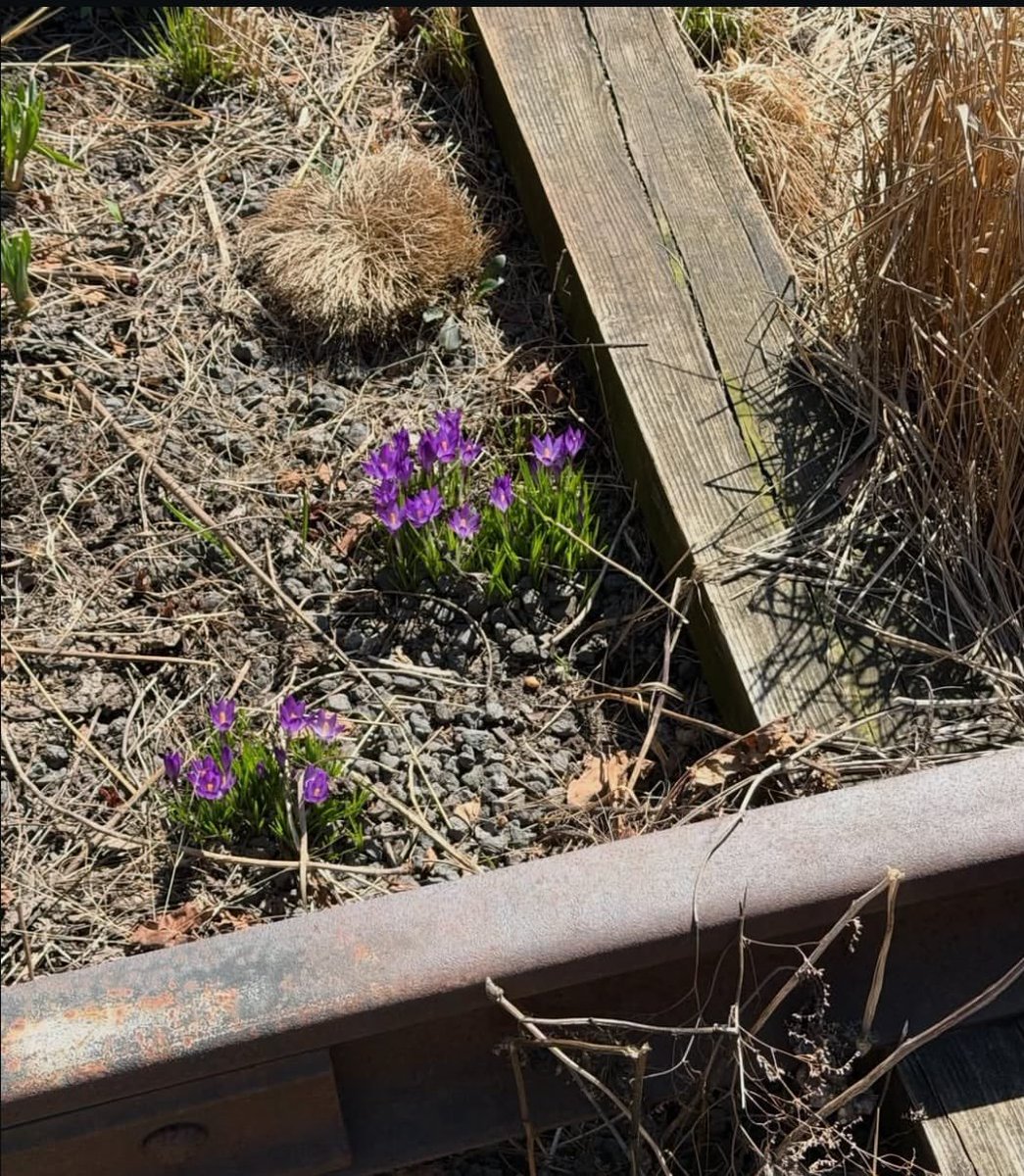 BTS Answer BR⁷ ⟭⟬ tweet media