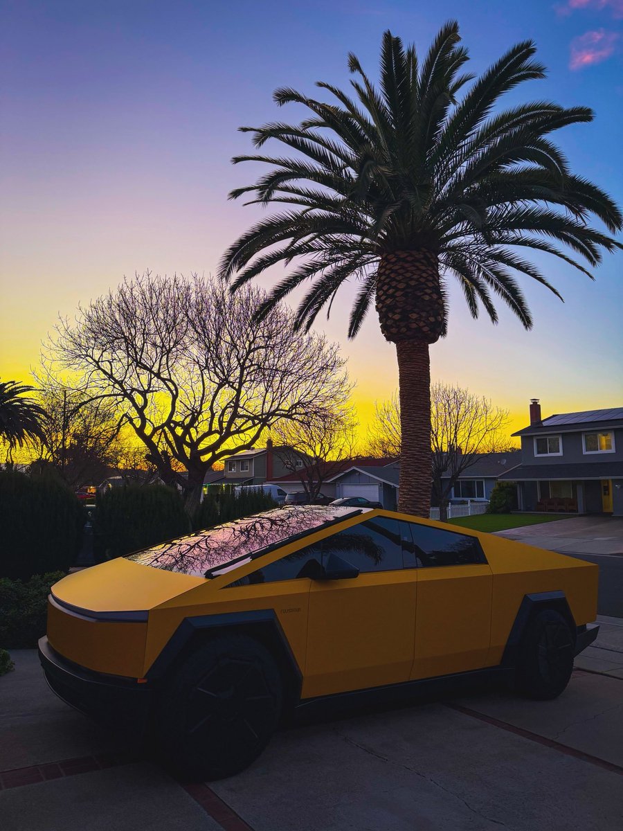 𝗦𝗮𝗺 𝗫 tweet media