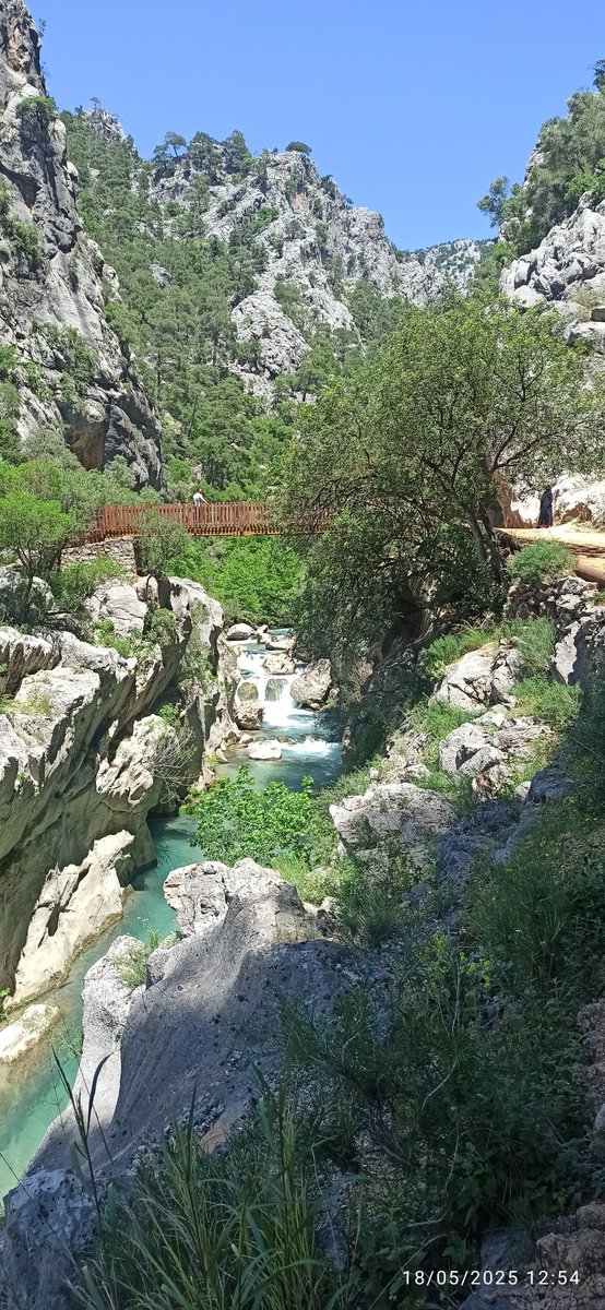 Jersey28694594's tweet image. Happy Wednesday all beloved friends 💕🌷💞🌷💕🌷 
#mountains #creek #trees #goodmorning