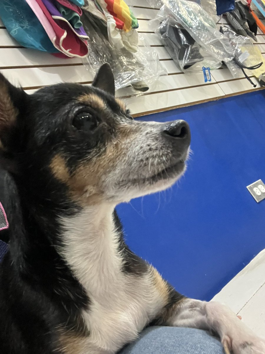 Yizel García  tweet media