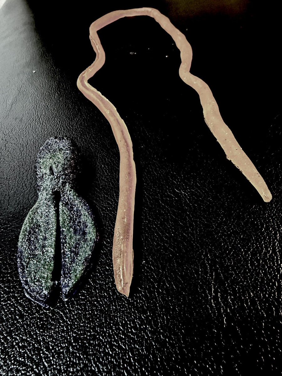 GOLDWorksの人🐈‍⬛リールオーバーホール&匠ベアリング tweet media