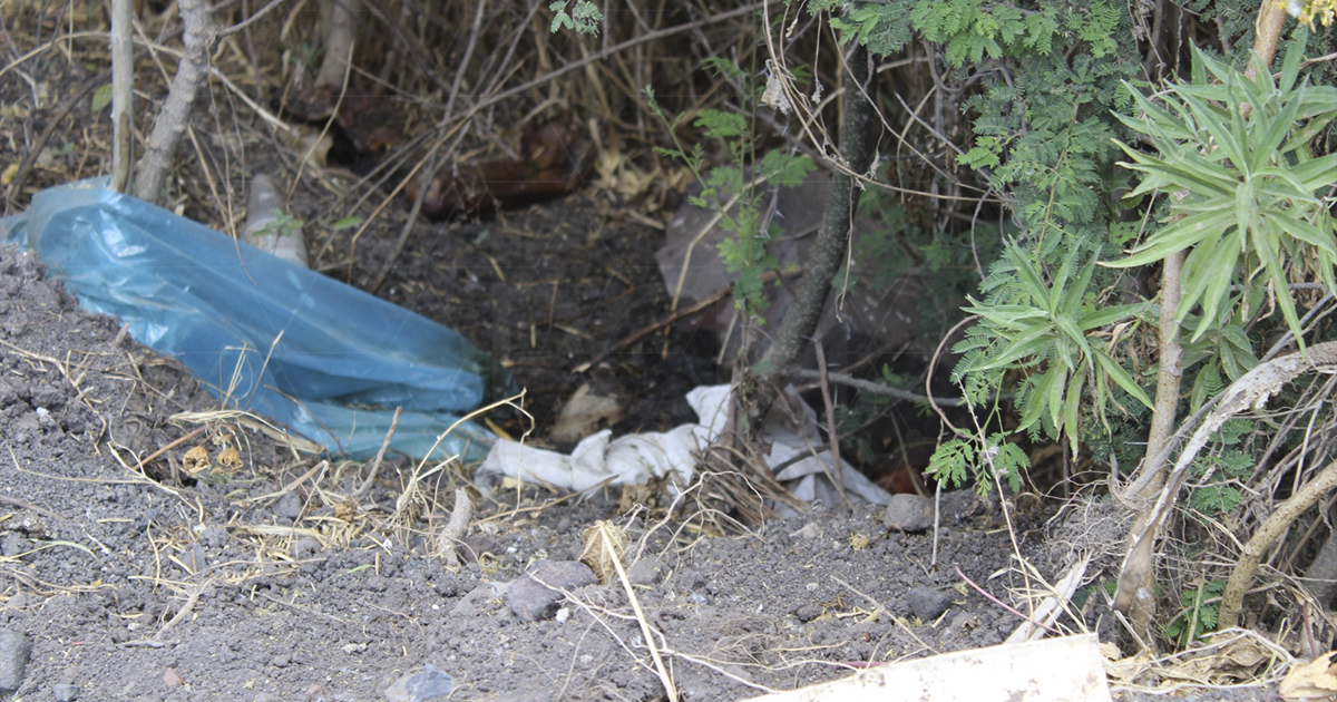 PCM Noticias tweet media