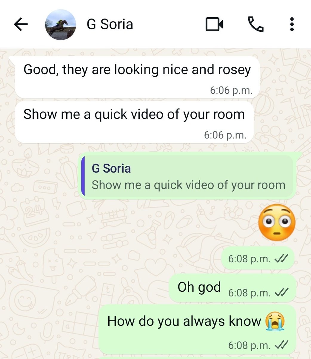 Birdfish🌙 tweet media