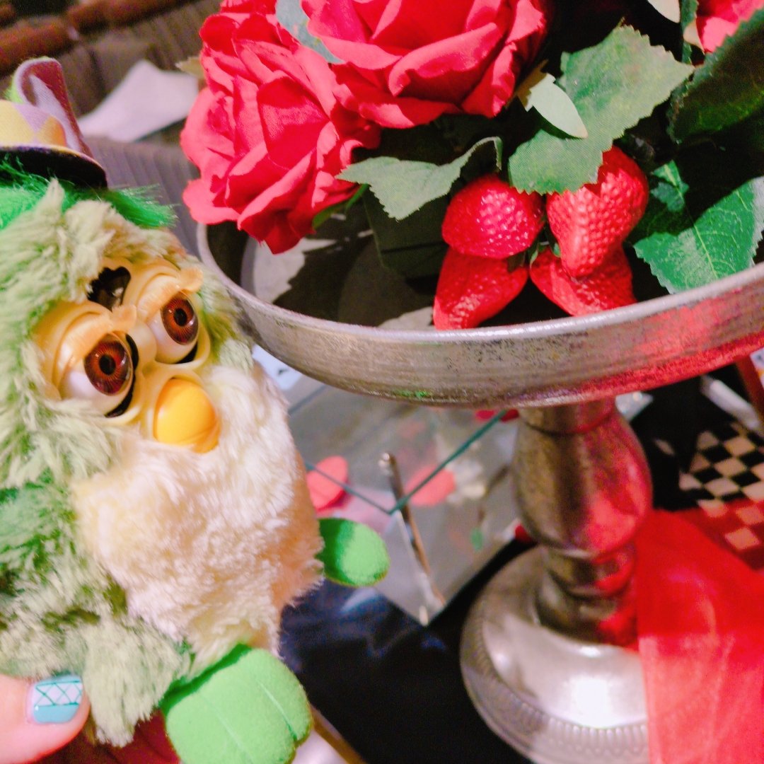 🦔新木場 針理💍 ̖́- tweet media