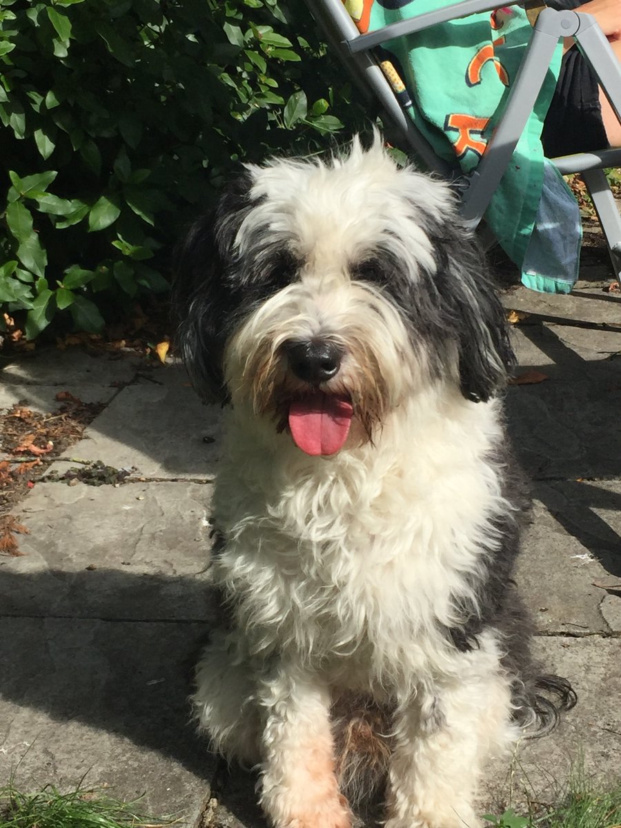 connie cotton(wood) ⊬ tweet media