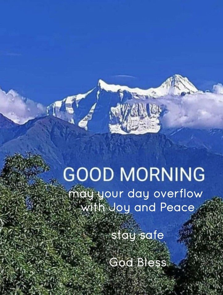 OnlyPremX_vt7's tweet image. Good morning ☀️

A fresh day = a fresh chance.
Leave yesterday behind,
focus on today,
and move one step closer to your dreams.

Make it count. 💫
#GoodMorning #NewDay #StayPositive