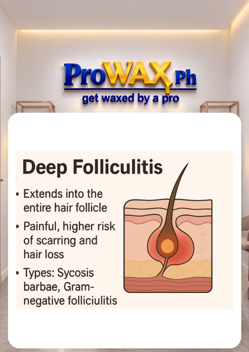 ProWAX.Ph…Mens Waxing,Trimming,Grooming tweet media