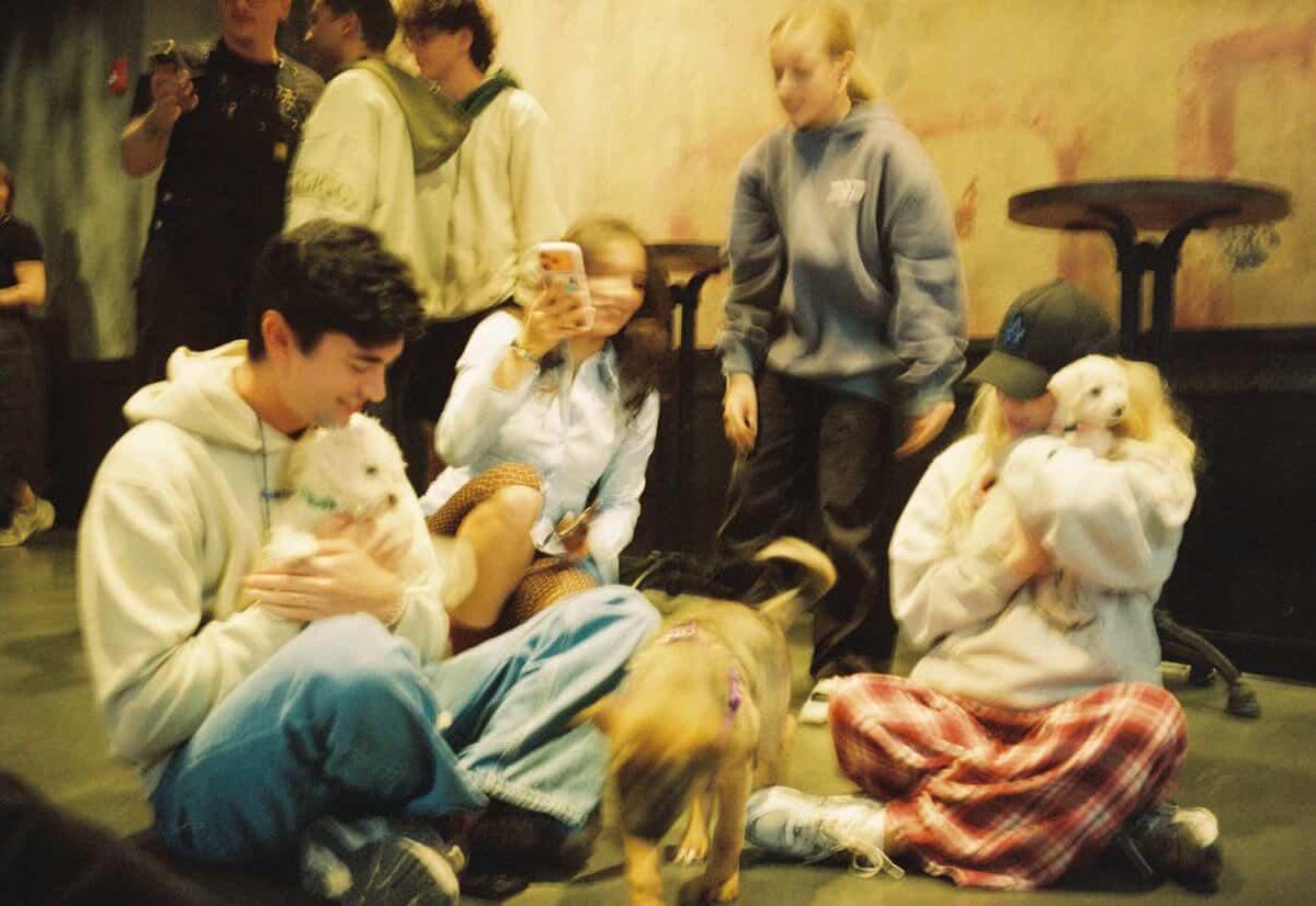 Freya Skye Updates tweet media