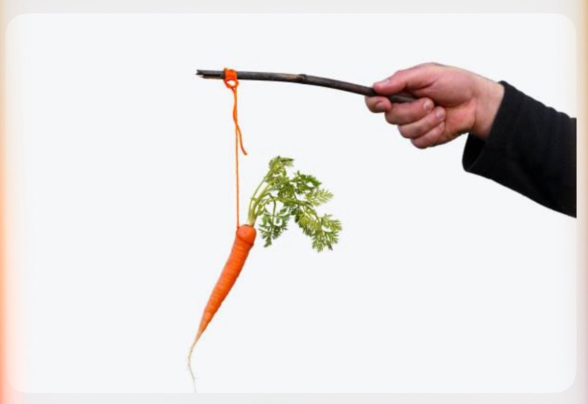 The Great Martis tweet media