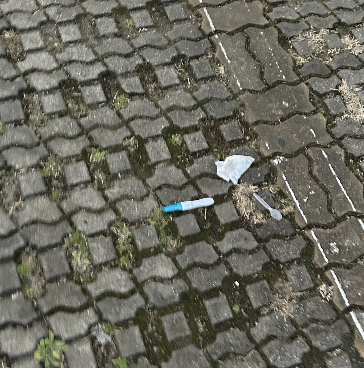 푸르팅팅 tweet media