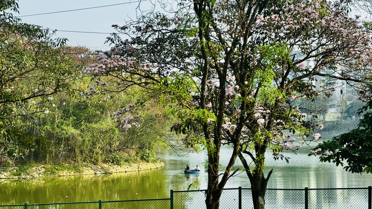 BrainAndSpineDoctor tweet media