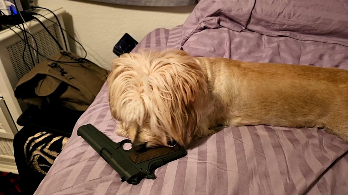 𝖡𝖺𝗒 Ⅿ14 tweet media