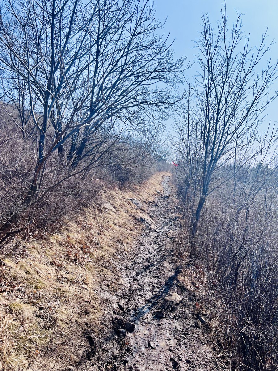 rarefiedgas's tweet photo. #snow #trail in the #mountains #trees
#Hiking #outdoors #nature #muddy #sloshy #slushy 10/ https://t.co/wSScCz7jnp