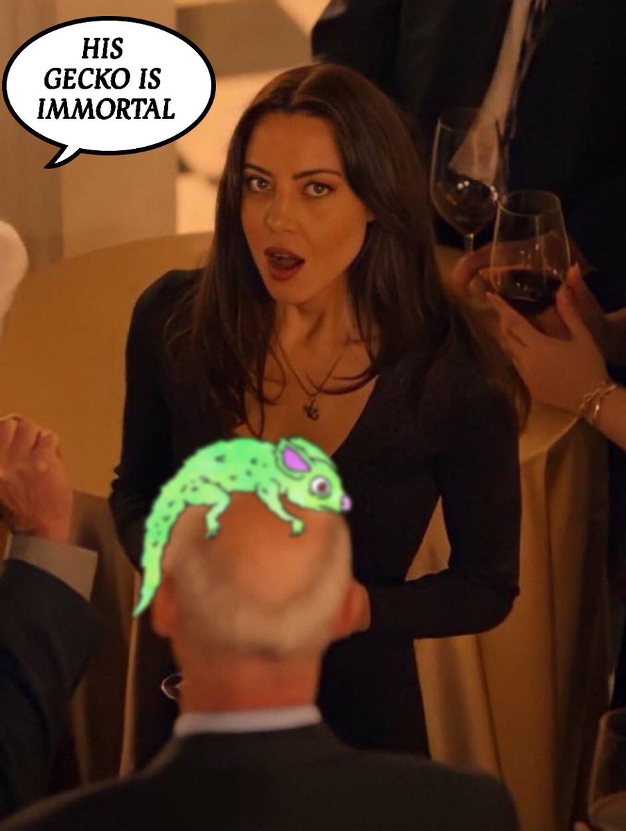 🟩antler tweet media