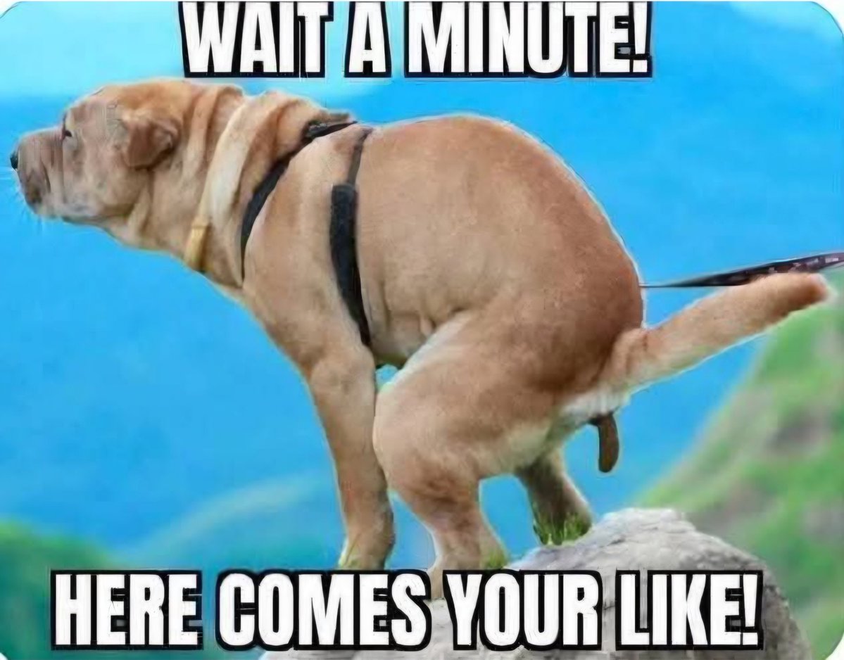 Grammy Jojo tweet media