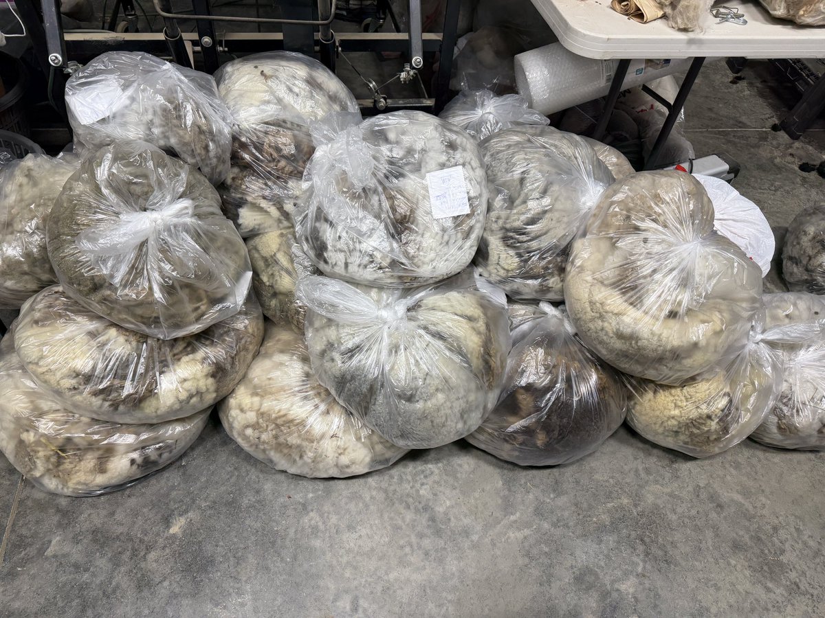 farmer Todd 🐄🐐🐖🐑🦙🐓 tweet media