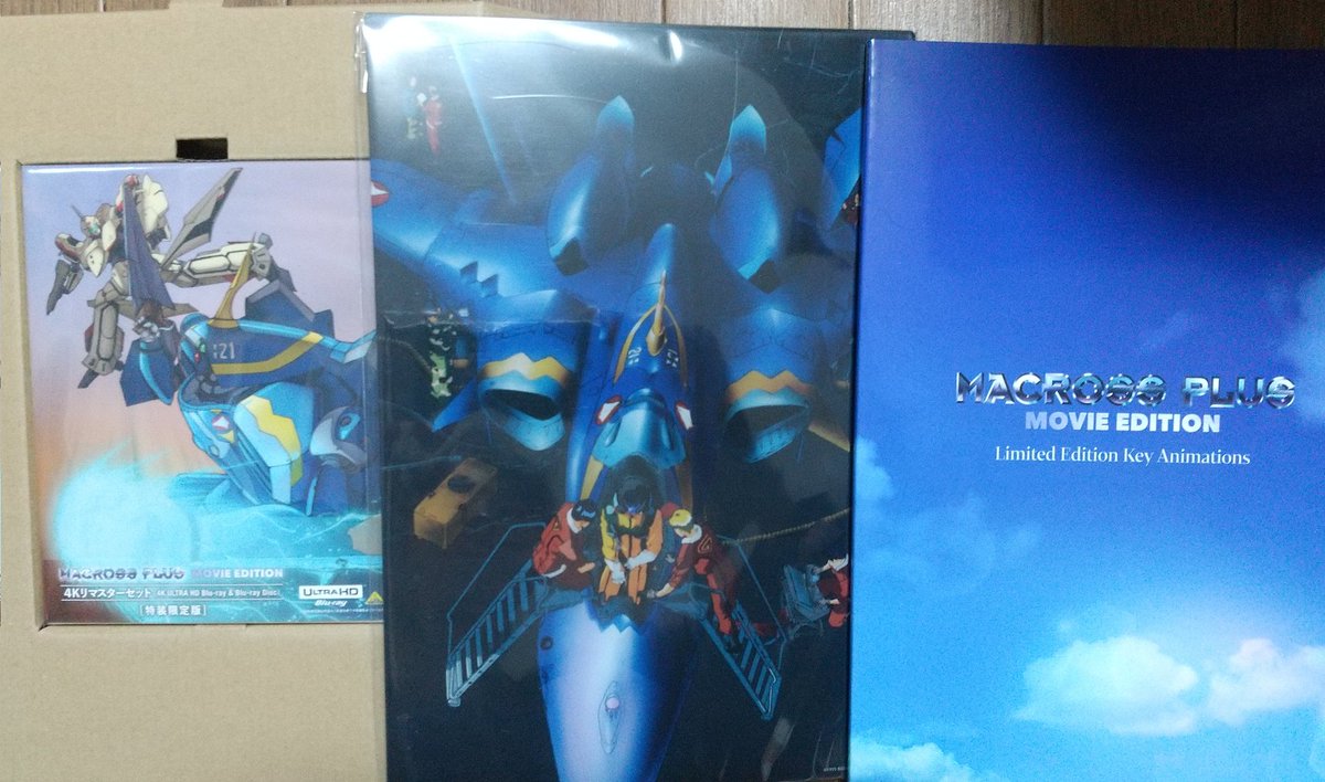 うちにも４k劇版マクロスプラスきた。宝物がまた一つ増えた。４k環境無いけどね。