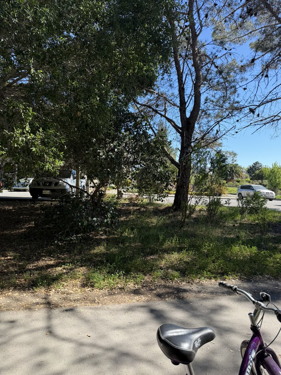 I just need to share my story about what happened to me today. My companion had blood work that needed to be done this morning, so we left the house around 8:00AM to get him there by 8:30AM, on the way to the medical center, I saw this lone little girl’s bike just sitting in the