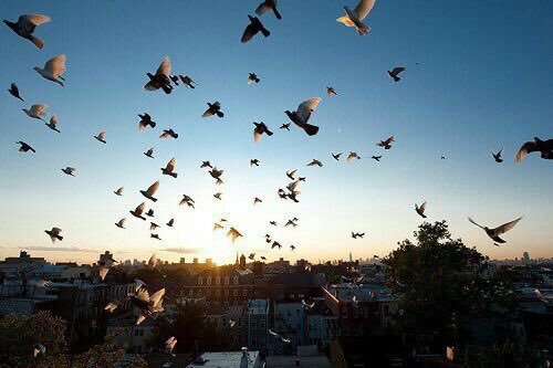 جود السماء .. 🍀 tweet media