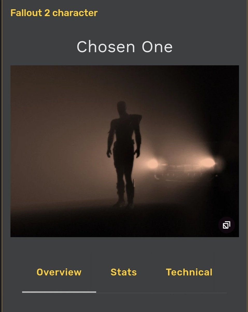 Quokka & Co tweet media