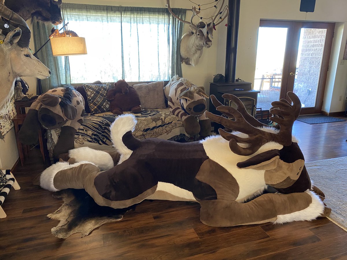 🏴‍☠️C R E E P 🏴‍☠️🔞 tweet media