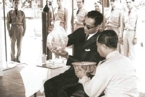 Scoopview Thailand tweet media