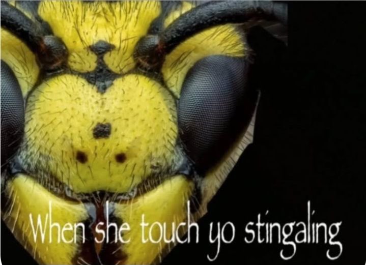 +Asteri+ tweet media