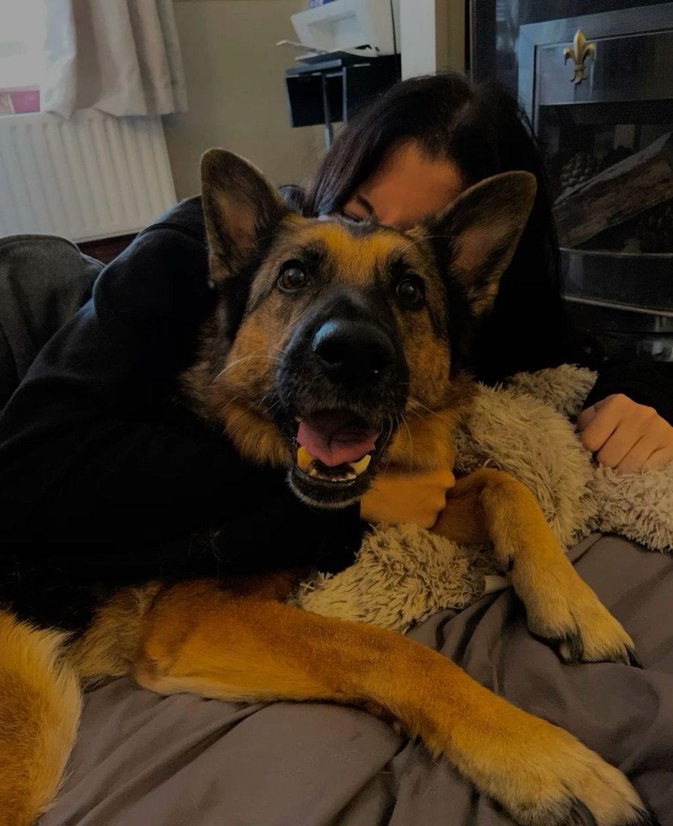 ᅠᅠᅠᅠᅠ ᅠ ᅠ ᅠᅠᅠᅠᅠ ᅠ𝔠𝚊𝚙. ᅠ ᅠ ᅠ 𝖋𝗮𝗷𝗮𝗿𝗱𝗼 tweet media