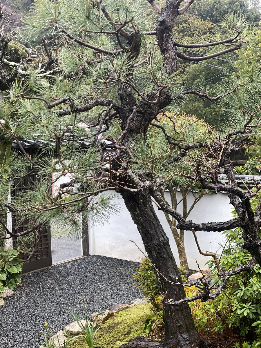 gallery CAFEとこのま tweet media