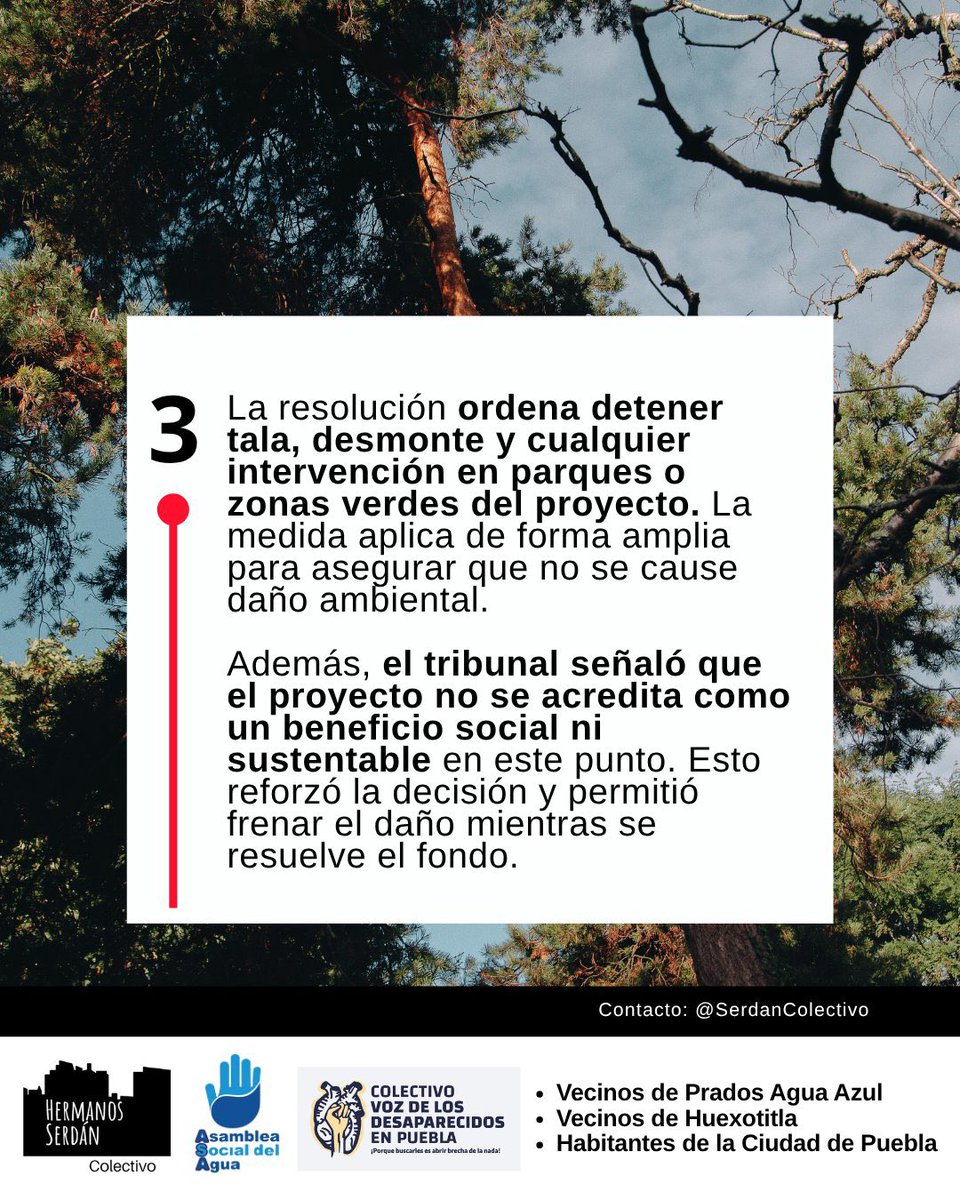 Manatí - Noticias desde Puebla tweet media