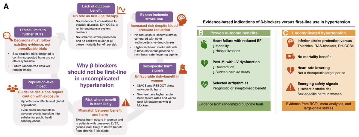 Alejandro Martínez Gallardo tweet media