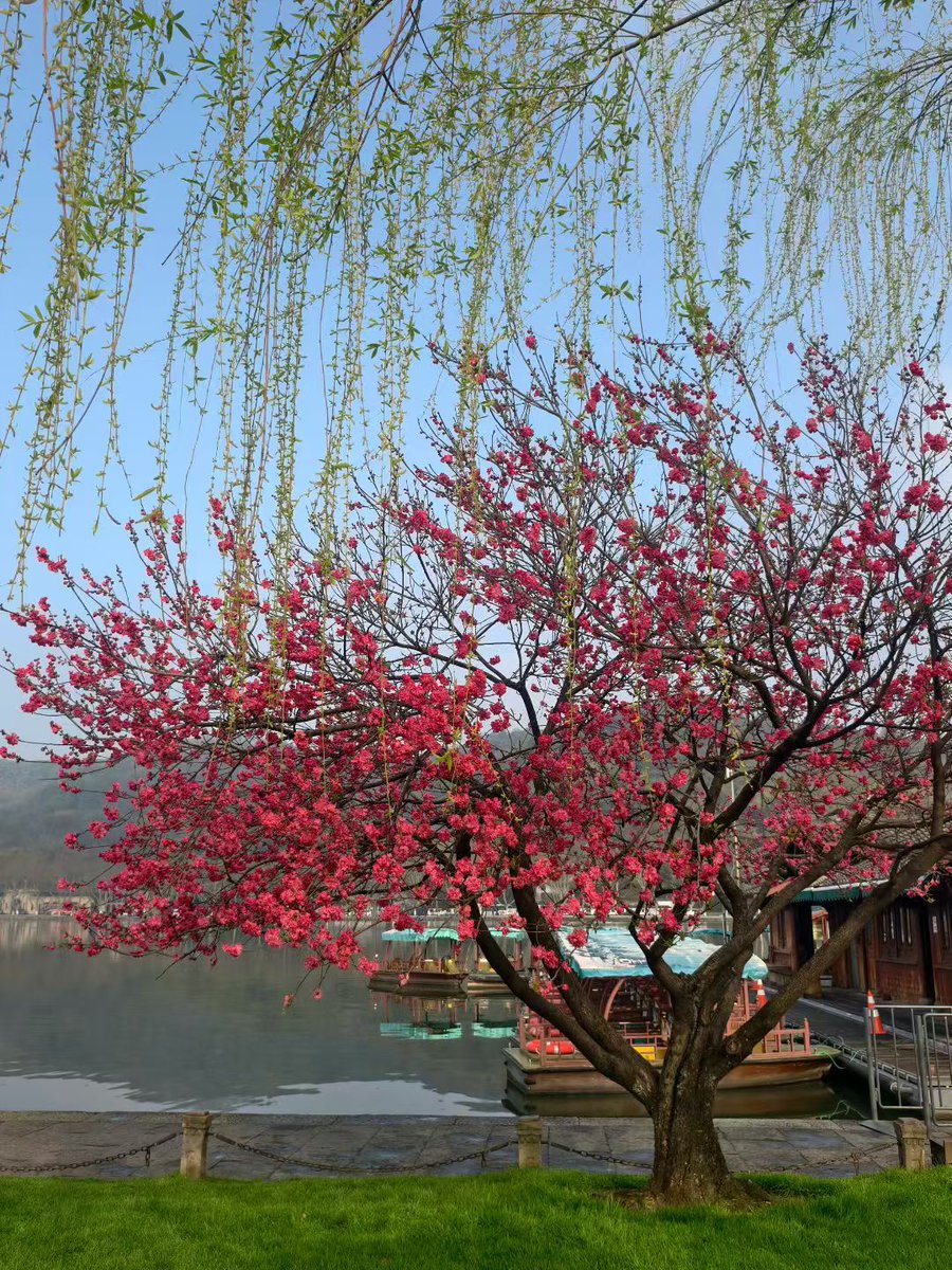 董适之💯😃😃 tweet media