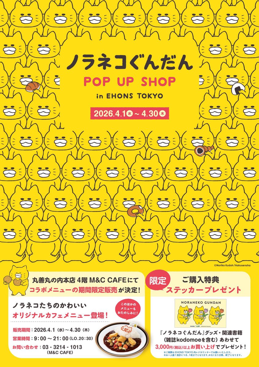 ノラネコぐんだん公式 tweet media